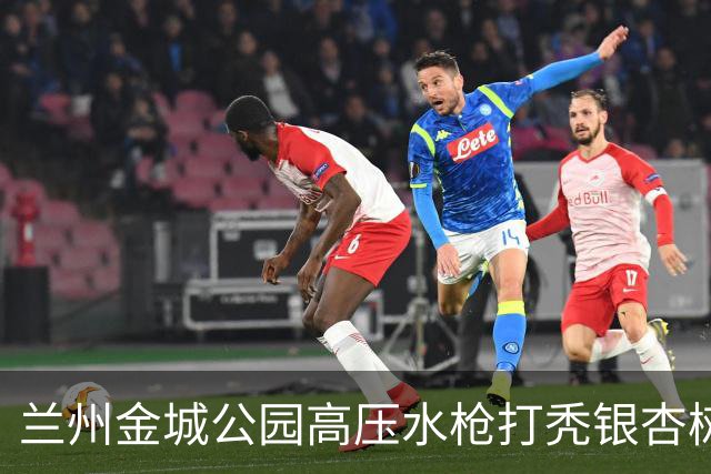兰州金城公园高压水枪打秃银杏树，环卫公司负责人致歉：深刻检讨，两名涉事员工已停职