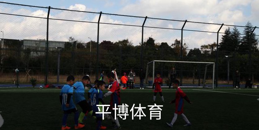 走进我们